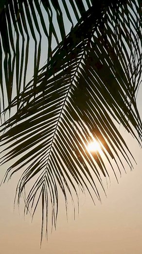 🥳🎉 FUN-FILLED FAMILY ADVENTURE AWAITS AT CATALONIA MONTEGO BAY! 🌴🌞🏖️🐚😎🩴👙🤿🐠🛶🍹 📣 Don't miss out on our incredible all-inclusive deals, where the 1st child (up to 11yrs) stays FREE! It's the perfect getaway for the whole family! 📚🌴 BOOK NOW! Sale ends August 30, 2024. 🌟 Enjoy rates starting as low as US$118 per adult (per night, dbl occ) 🌟 These fantastic rates apply to new bookings only, so grab them while you can! 🌟 Rates are subject to change and availability, so secure your s