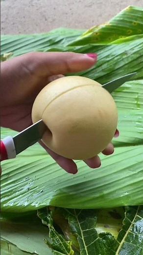 Buah Pir Madu #buahpir