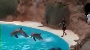 17K views · 2.3K shares | اگر یہ نہیں دیکھا تو کچھ نہیں دیکھا | Visit KPK, Pakistan | Facebook