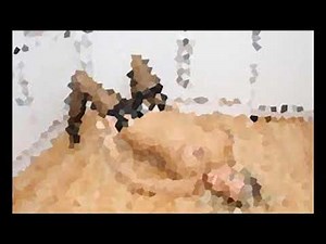 شفايف نار لحس مص شفايف