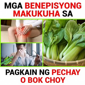Mga Health Benefits ng pagkain ng Pechay | Halamang Gamot