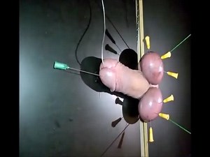 Needles driven into slaves dick in extreme cock and ball torture