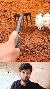 Homemade particle oil dispenser | Mouse trap 2022