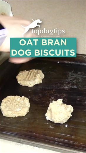 🍪 Whip up these easy homemade dog treats with oat bran for a healthy snack. Perfect for dogs of all sizes and packed with nutrients! Click here for the full recipe nutritional benefits, and serving suggestions: https://topdogtips.com/oat-bran-dog-biscuits/ #dogtreats #diydogtreats #homemadedogtreats #dogtreatrecipe #oatbran | Top Dog Tips