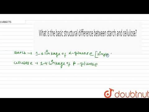 What is the basic structural difference between starch and cellulose?...