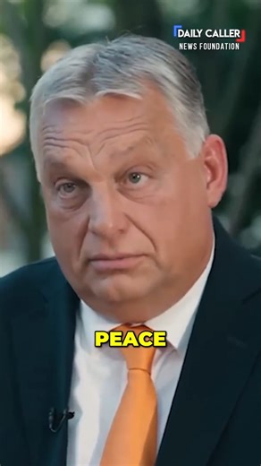 21K views · 440 reactions | "CALL BACK TRUMP": Tucker Carlson sits down with Viktor Orbán | The Daily Caller | Facebook