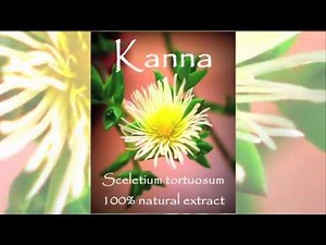 Lotus Extracts 100x overview of the effects of 18 herbal extracts