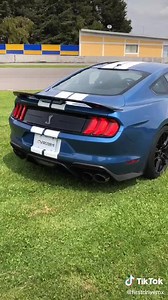122K views · 208 shares | Mustang Shelby GT500 2020  | Racing X | Facebook