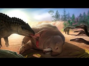 What Was Life Like During the Triassic Period?