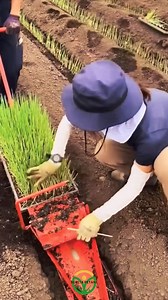 1.9M views · 2.3K reactions | Teknologi Pertanian Jepang Kecil Bermanfaat #teknologi #pertanian #japan #virals #reelsfacebook | Berita Petani | Facebook