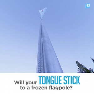 Will your tongue STICK if you lick a frozen pole? In one of the grossest tests on MythBusters EVER, Kari Byron, Grant Imahara and Tory Belleci try it out. (Miss the Snow Special? Watch the full episode here: http://bit.ly/2pf8K7W) | MythBusters