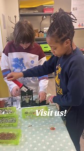 15 reactions | Stop by the teen room to make a button to celebrate Black History Month! | Evergreen Park Public Library | Facebook