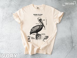 T-shirt pélican brun : Pelecanus occidentalis, anatomie d'oiseau, illustration scientifique - Etsy France