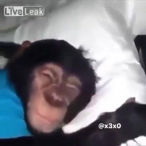 🤣🤣 | Meme Generator