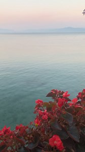 2.7K views · 53 reactions | #ohridlake #Macedonia #turism #beautifullife #radozda #flowers #lake | Ohrid | Facebook