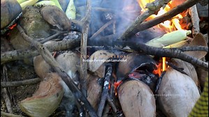 35K views · 743 reactions | TUNO WATA KERORI Ini merupakan Tradisi Budaya Turun temurun dari kaum perempuan Adonara - Lamaholot yang dijalankan tiap tahun. #budaya #lamaholot #adonara #adat #sorotan #pengikut | KampoengBercerita | Facebook