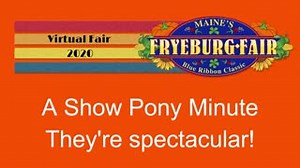 26 reactions | Horse and Pony Shows | Fryeburg Fair | Facebook