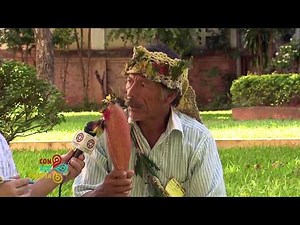 PG CVOZPROPIA P23 B4