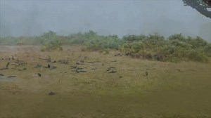 2.1K views · 21 reactions | Se activó Archen shiny oscuro!!!!!! | Pokémon Go Equipo Yucatán | Facebook