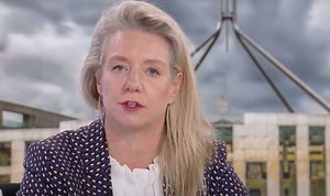Australian senator on 'challenges' of EU free trade agreement