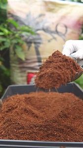 The last coco coir you’ll ever need 便 @houseandgardennutrients This...