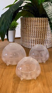 1.5K views | What size Ladybug is right for me?...