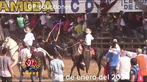 La chica de amarillo | DProducciones