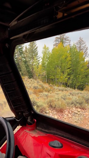 #Finding animals #Wyoming#hunting season# life in wyoming# fbreel hunting viral #StarsEverywhere# | Kris Henrie