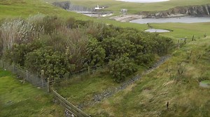 Fair Isle Bird Observatory