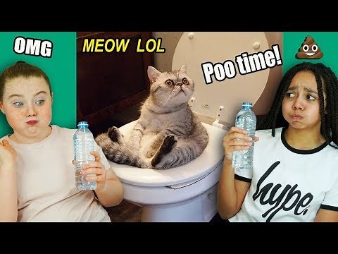 Try Not To Laugh Challenge ( If You Laugh You Lose) Part 3