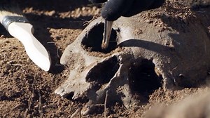 Discover the ancient Denisovan Cave in Russia's Altai region. Tools over 287,000 years old and intriguing DNA results amazed scientists. Join Paul Stonehill's research journey in this captivating video #history #coasttocoastam | Coast to Coast AM