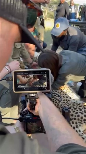 The Panyame Cheetah Project started with a dream and a few people passionate enough to work together to make this relocation happen. #cheetahrelocation #cheetahs #cheetahconservation #wildlifeconservation | The Origins Foundation