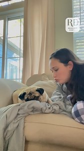 This pug owner wanted a kiss, but their dog wasn't having it! | Reader's Digest