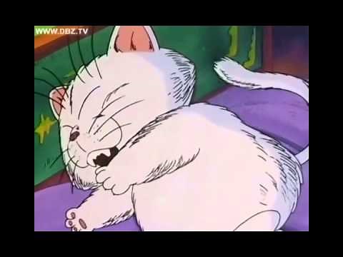 Dragon ball : Goku Copying Korin