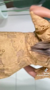 "Fashion is the art of wearing your dreams. Our designs are inspired by the world around us, crafted to make you feel unstoppable. Let your style tell your story. #InspireThroughFashion #DesignYourLife" Video Credit- Original Creator ! | Hugs & Kisses Clothing - XOXO