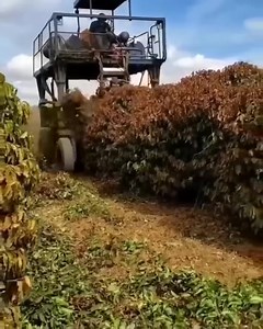 27 reactions | Tree cutting machine | मशीनों | Facebook