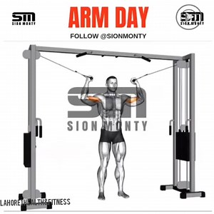 Biceps workout for beginners & Adults.💪 The Most Favorite Muscle of Body😎 | Henry Garza Marketing