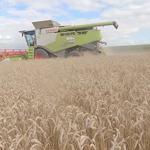 Batteuse Essai Claas 6700/660 Paille et grain 🌾🚜 | Thierry Agriculteur d'aujourd'hui