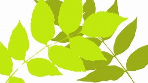 1K views · 45 reactions | Upcycle and decorate your old milk bottle to create a cool watering can! #gardening #diy #stayathome #survivalguide #momsandtots #lifeisagarden | The Gardener Magazine | Facebook