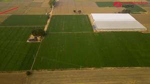 Cultivating excellence at Mahindra HZPC corporate farm – where precision meets passion to grow Minitubers🌱🚜 #mahindrahzpc #potatofarming #minituber #seedpotatoes #colomba #taurus #farmers #agriculturelife #precisionagriculture | Mahindra HZPC