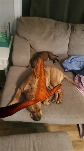 Keegan Young on TikTok