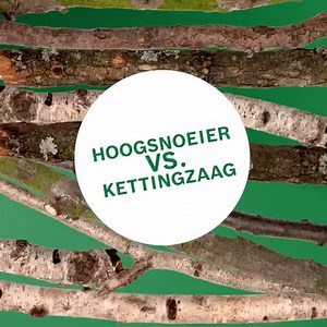 9K views | Eenvoudig bomen snoeien! Welk gereedschap past bij jouw...