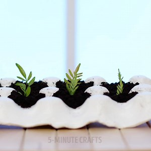 23 fun and easy cement crafts. 👌 | 5-Minute Crafts Teens