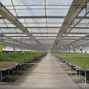 [Hot Item] Ebb and Flow Seedbed Greenhouse Grow Table Movable Rolling Bench for Seedling/Breeding