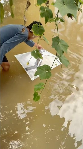 Suddenly a kite broke