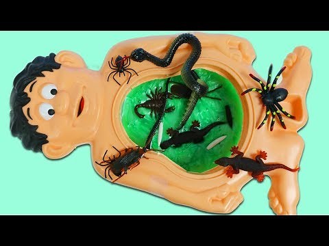 Mr. Play Doh Head's Slime Belly Full Of Gross Bugs And More!