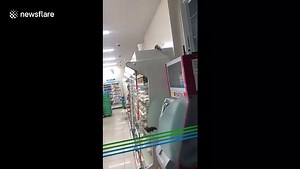 Rats seen running over the food shelves at Japanese grocery store