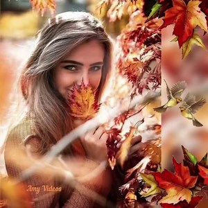 9.2K views · 1.3K reactions | Les feuilles tombent, les arbres se déshabillent, la nature sans retenue se dénude et l'automne perd sa timidité et sa pudeur ️ Bienvenue à cette belle saison, pleine de couleurs chatoyantes ️ | AmyCreas | Facebook