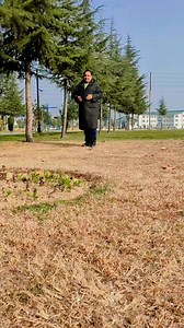 Janam Janam Ka Saath | SRK FILMS