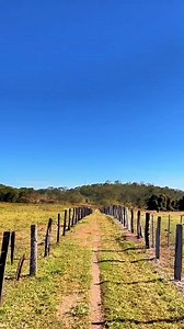 1.7K views · 45K reactions | MATO GROSSO PANTANAL #reels #lugardepaz #pantanal #matogrosso #sertanejo #Natureza | Evaldo Santos | Facebook